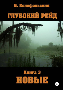 Глубокий рейд. Книга 3 НОВЫЕ