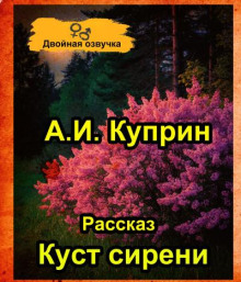 Куст сирени