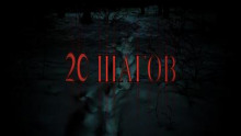 20 Шагов